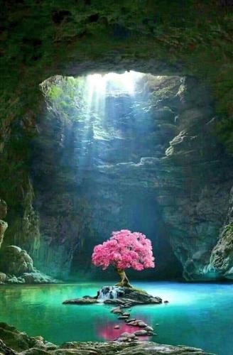 2619fa33-c2d9-4f3f-9e61-50445ddac9fe