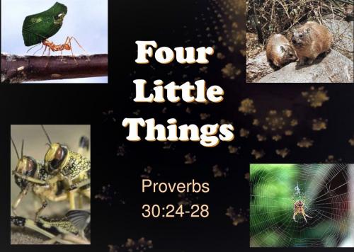 110622 - four-little-things