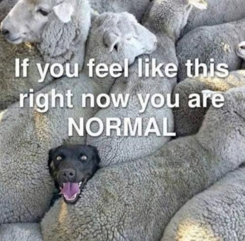 bhmjjyhdhtrwu4f8ssnpkysegmxmxxtr