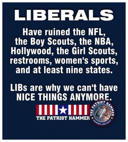 Libs