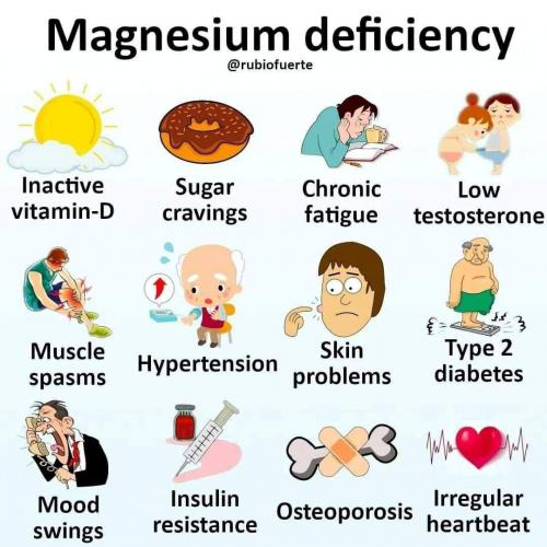 IMG_20221113_181024_703