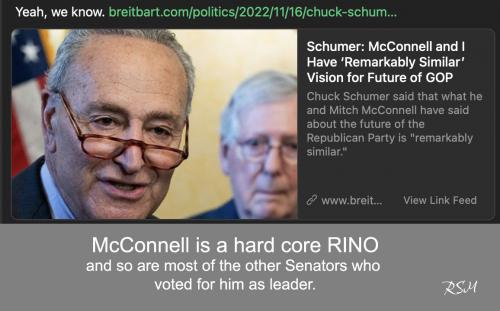 McConnell Rino 02
