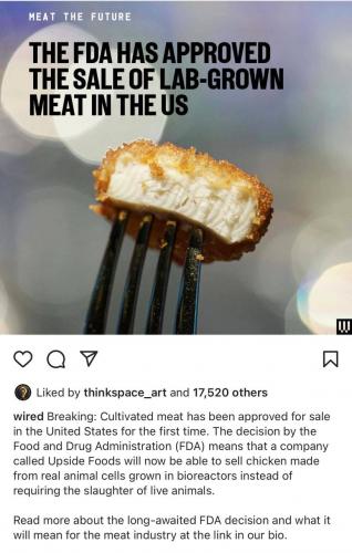 IMG_20221118_105006_157