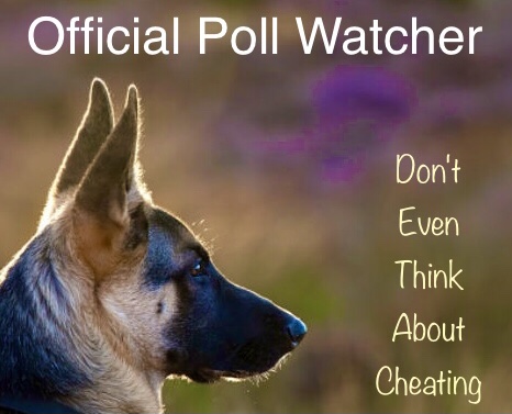 36DD38D6-FB4A-4B0E-8528-FB96196C749A