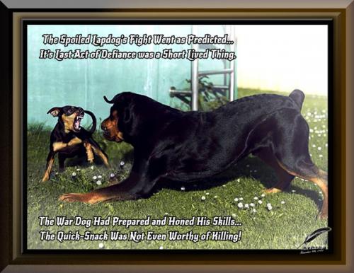 Rottweiler ~The Lapdogs Last Act of Defiance~