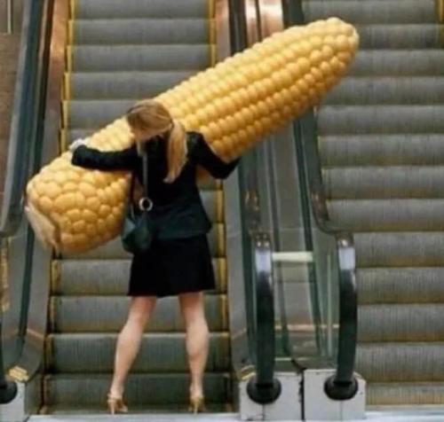 20-Confusing-Pictures-That-Really-Need-Context-To-Understand-20