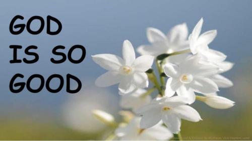 c9a021b9-3a0f-447e-aac1-cc2bd34d92ed