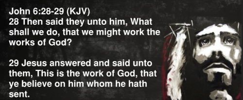 John 6.28
