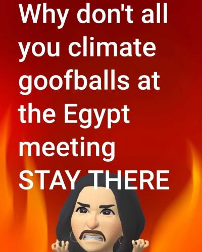 USA climate goofballs