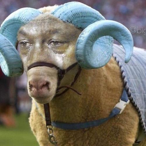 IMG_20211126_231519_028