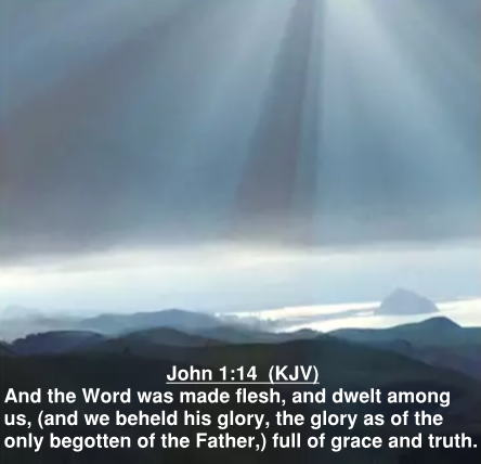 John 1.14