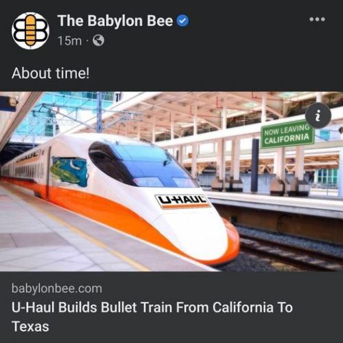 314397225_496523842505557_346996358140078493_n