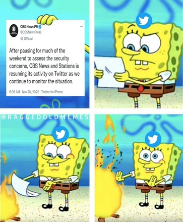 29946e7e697f7074