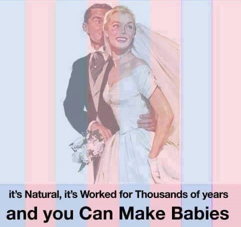 Bible 1 - Marriage - Heterosexual Pride