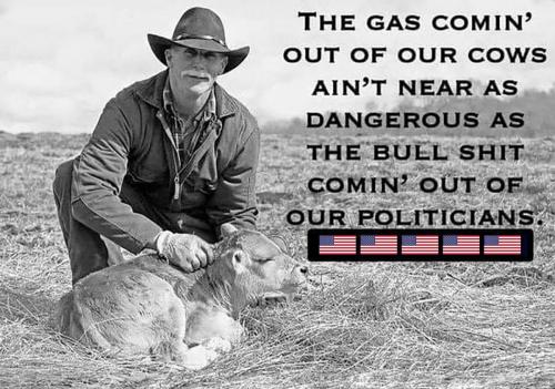 cow gas