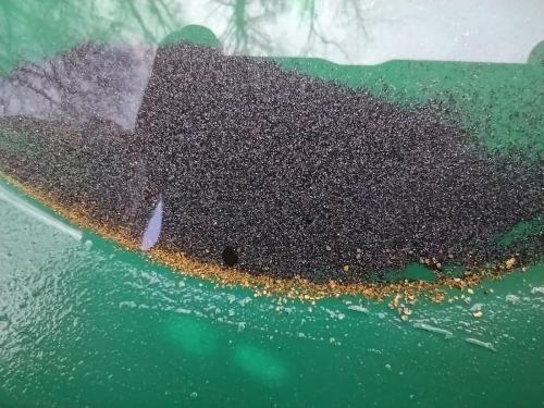 IMG_20221124_123606039