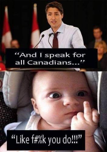 Justin Trudeau - speaks to globalists and jinping xi