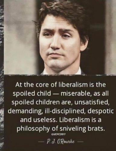 LiberalismInANutshell