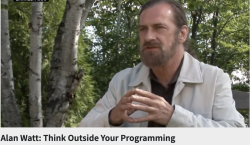 Screen Shot 2022-11-10 at 11.43.04 AM