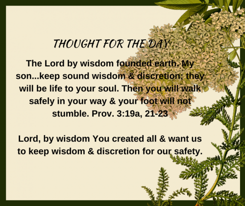 TWEET 11-21-22