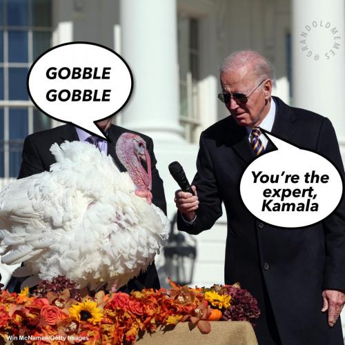 Expert Kamala Turkey