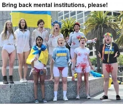 xephula_330b4b2faa3c159d3ddb00c0410fa6e0