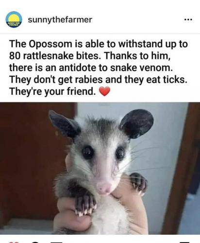 IMG_20221112_081459_648