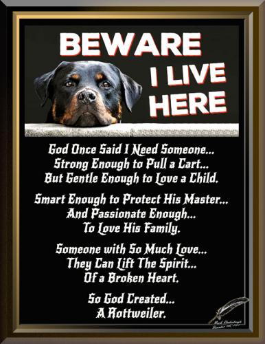 God Created a Rottweiler