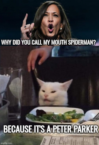 USA Spiderman