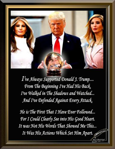Trump ~Defending from The Shadows~