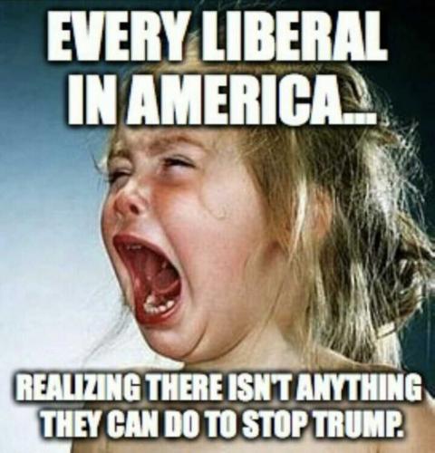 USA every Lib