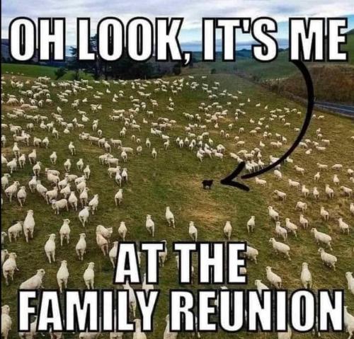 9ea4cfc6-0c79-4660-a50b-6b58a76dafea