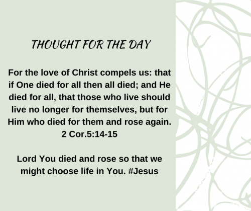 TWEET 11-17-22