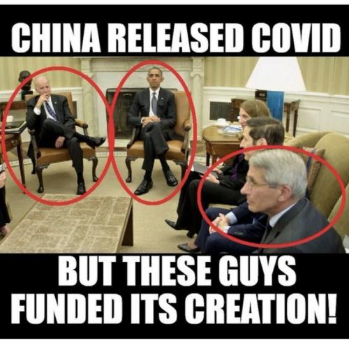 Democrats Funded Covid