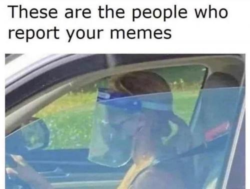 Memes