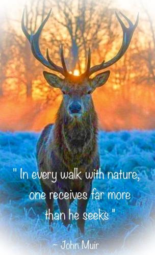 8855AA29-58E2-44B4-B6BC-4F780979EA5F