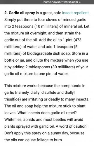 03012065-02D8-4C7F-A86B-F0959A928FF4