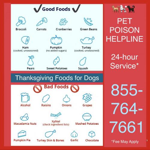 5B5549B0-DE43-4C23-86DC-C98770A8C5E4