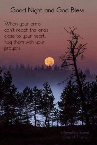 137047b9-0da3-431a-9568-f21898bdb685