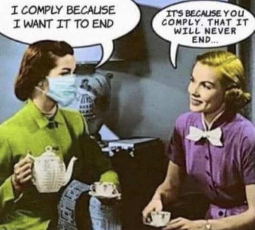M comply