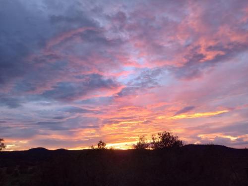 IMG_20220817_192328722_HDR