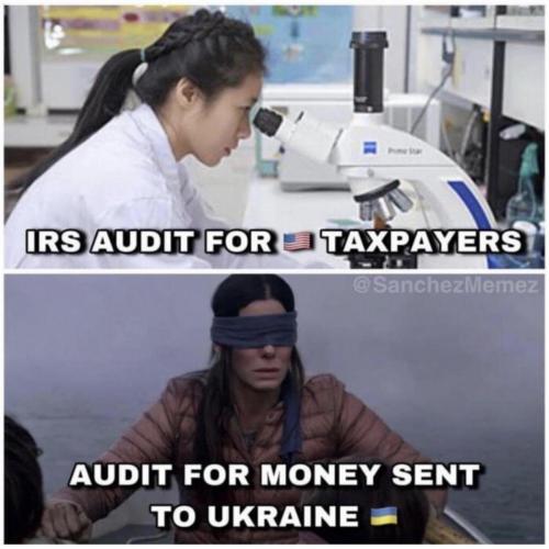 M audit