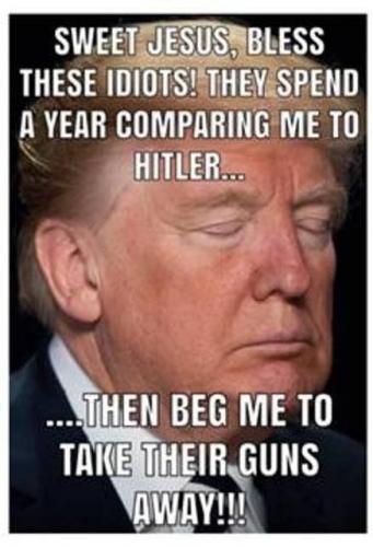 HitlerTakeOurGunsAwayLibtards