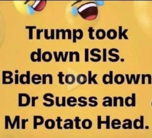 Mr Potatoe Head Biden