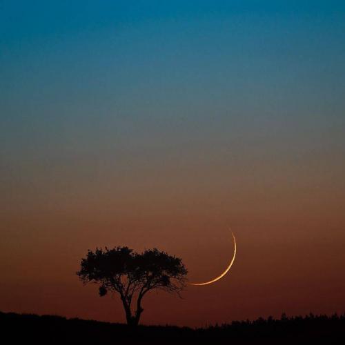 23e3279f-2363-4546-940c-0a81190b67e6