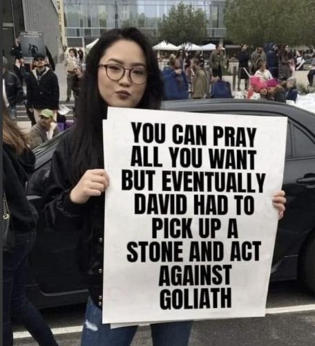 David & stone