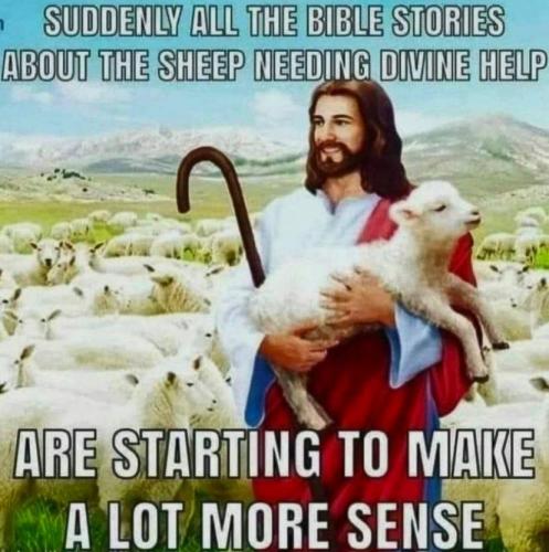 IMG_20221113_182030_169