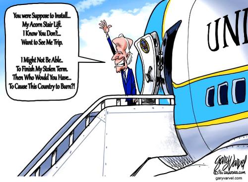 Biden's Acorn Stair Lift