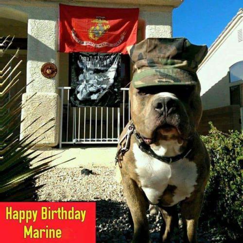Happy Birthday Marine