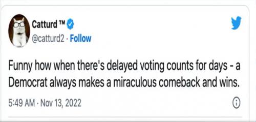 LiberalsGuiltyOfVoterFraudAgain2022